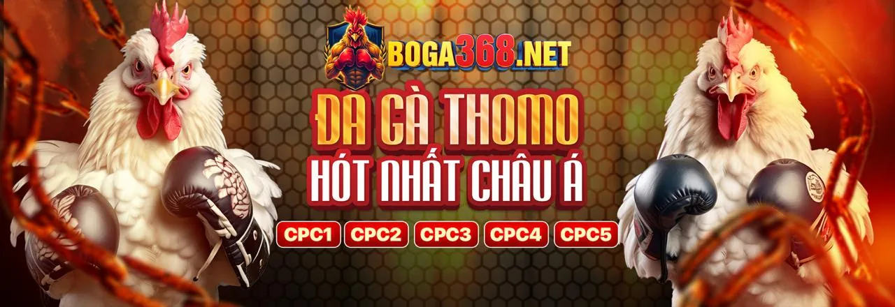 Hướng dẫn chơi nổ hũ cho người mới tại Bay365